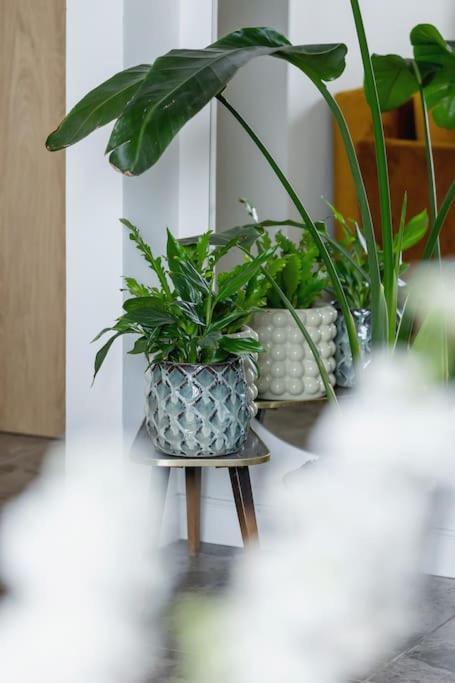 Apartment With Balcony, Private Parking - Bagry Lake - Goszczynskiego 1 クラクフ エクステリア 写真
